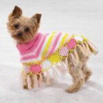 Poncho a crochet para mascotas