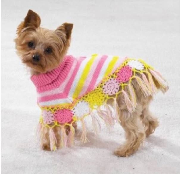 Poncho a crochet para mascotas